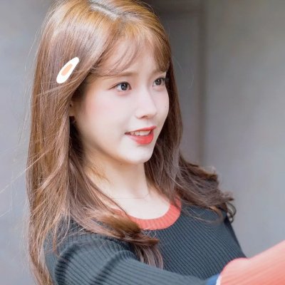 智叻狗仔队